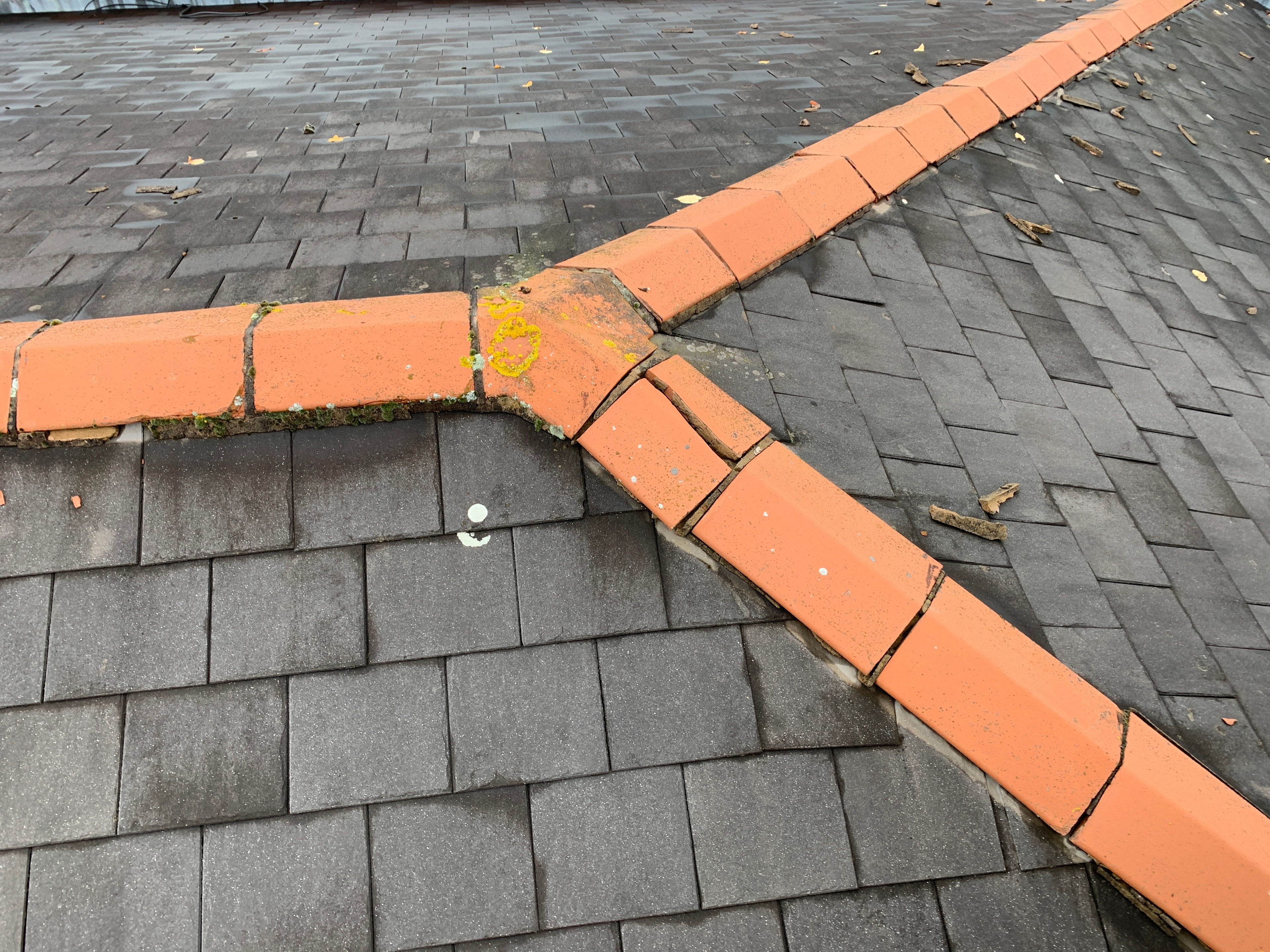 Close up of slate roof tiles